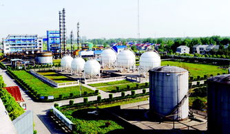 潛江聚力促發展，強招商打造新能源新材料產業新高地