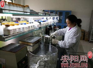 河南金百合 以微觀世界探秘驅動生物科技創(chuàng)新，開拓市場營銷新藍海