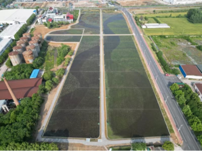 十七冶 含山縣污水處理廠尾水凈化工程順利通過竣工驗收