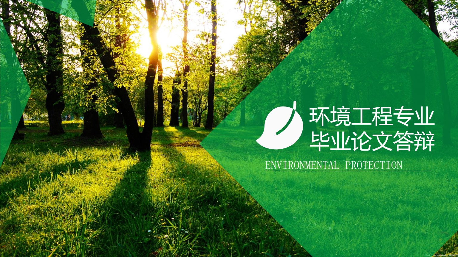 環(huán)境工程專業(yè)畢業(yè)論文答辯 基于生態(tài)修復(fù)技術(shù)在環(huán)保工程中的應(yīng)用與效益分析
